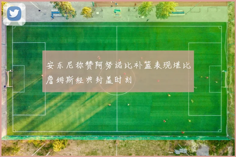 安东尼称赞阿努诺比补篮表现堪比詹姆斯经典封盖时刻